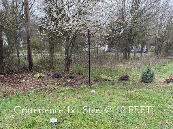 Critterfence Black Steel 1 Inch Square Grid 6 inches x 100ft CLEARANCE - 680332611206