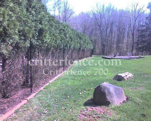 Critterfence 700 Graduated Reinforced Bottom 6 x 165 CLEARANCE - 680332611794